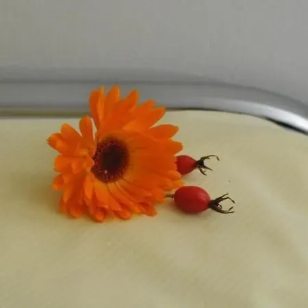 Residenz Alpenrose25 By Interhome Apartment Sils Maria