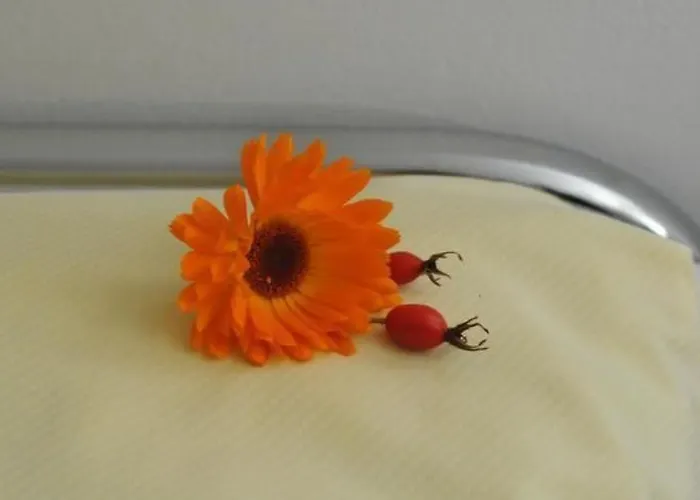 Residenz Alpenrose25 By Interhome Апартаменты Зильс-Мария